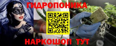 2c-b Ачхой-Мартан