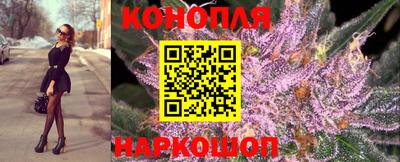 PSILOCYBIN Аша