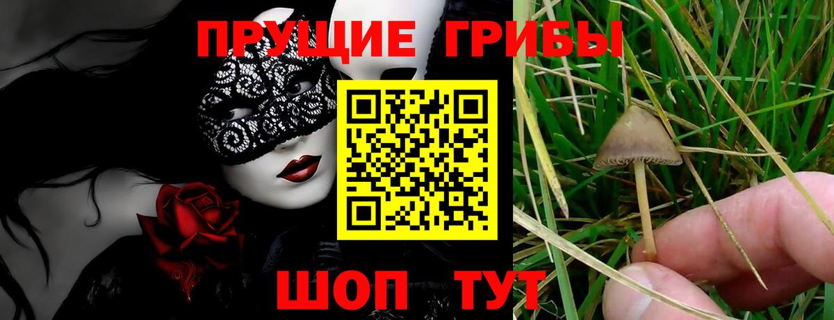 Десногорск  Галлюциногенные грибы MAGIC MUSHROOMS  Вход с VPN 